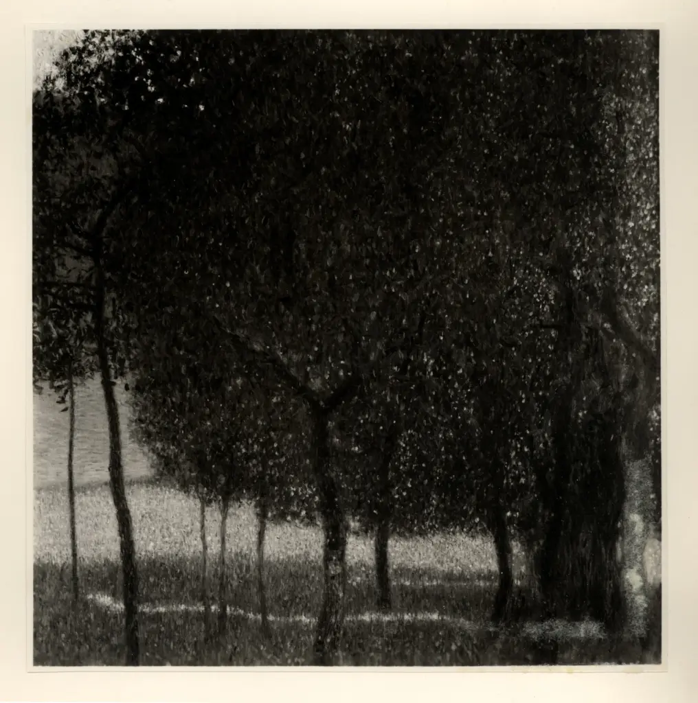 Giacomelli , Klimt, Gustav - sec. XX - Alberi da frutto , fronte