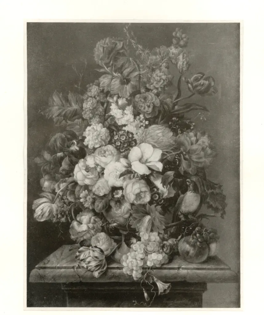 Anonimo , Petter, Franz - sec. XIX - Blumenst&uuml;ck mit Papagei , fronte