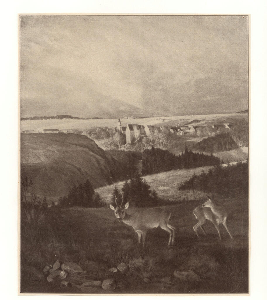 Anonimo, Anonimo , von Raysky, Ferdinand - - , fronte