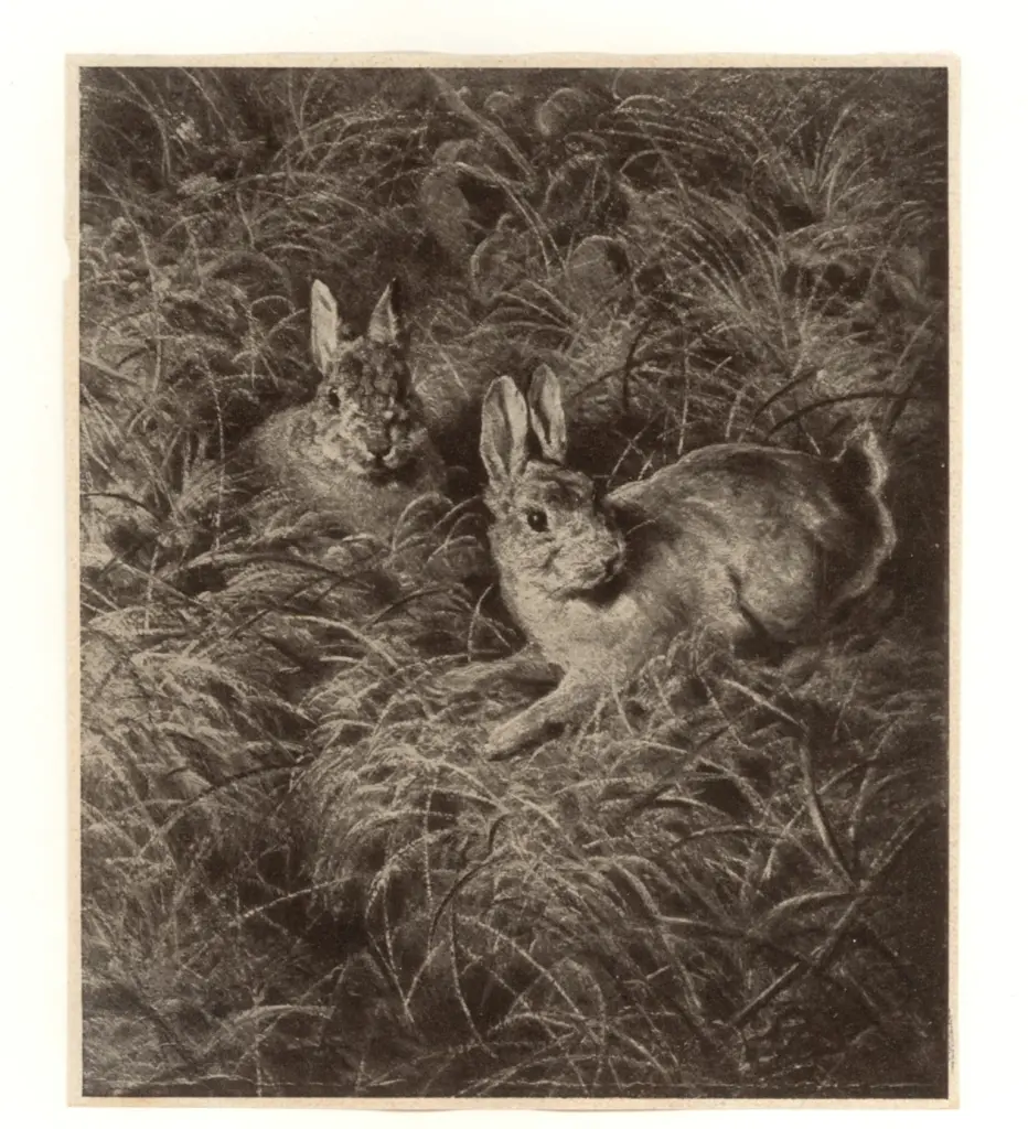 Anonimo , von Raysky, Ferdinand - - , fronte