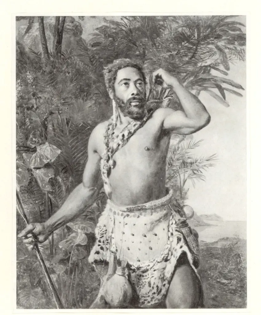 Anonimo , Waldm&uuml;ller, Ferdinand Georg - sec. XIX - Africano