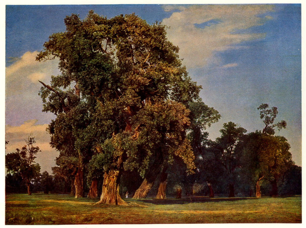 Anonimo, Anonimo , Waldmüller, Ferdinand Georg - sec. XIX - , fronte