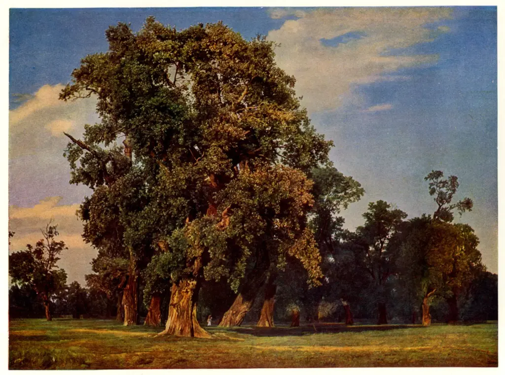 Anonimo, Anonimo , Waldm&uuml;ller, Ferdinand Georg - sec. XIX - , fronte