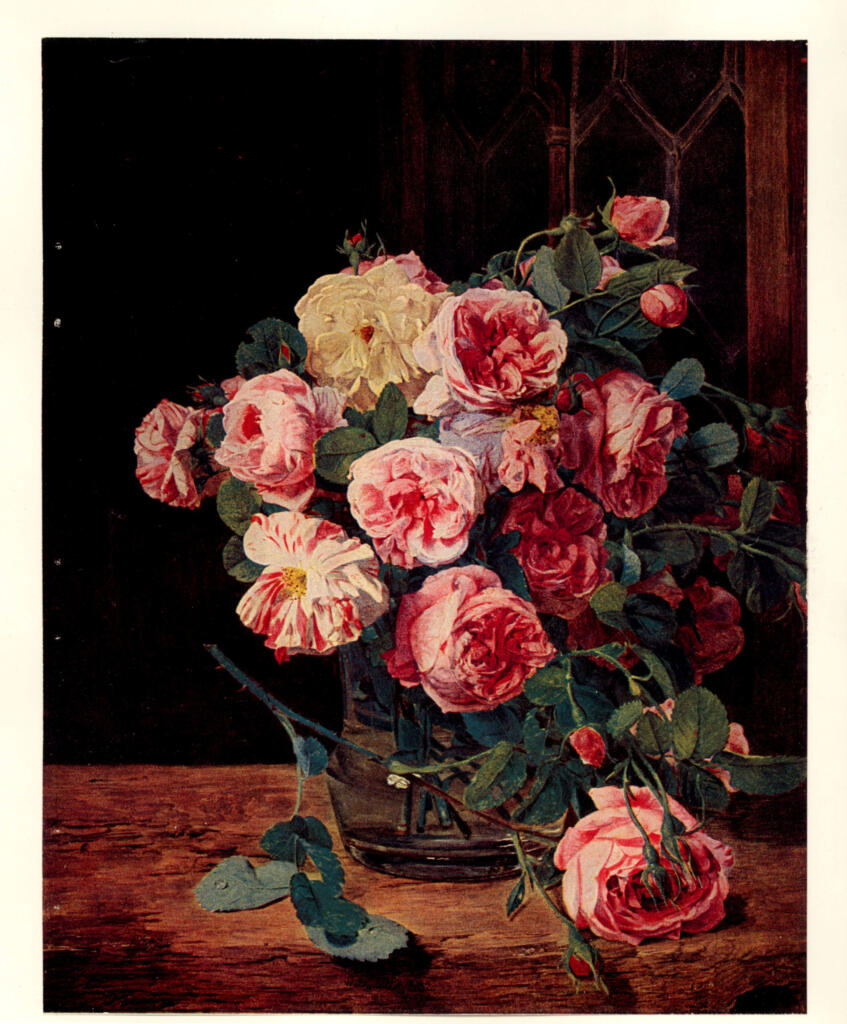 Anonimo , Waldmüller, Ferdinand Georg - sec. XIX - Rosenstück , fronte