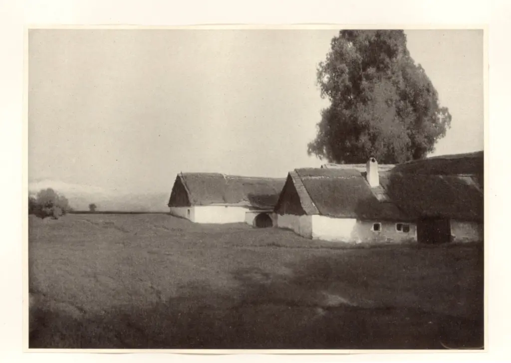 Anonimo , Brunner, Ferdinand - sec. XX - Sommerabend , fronte