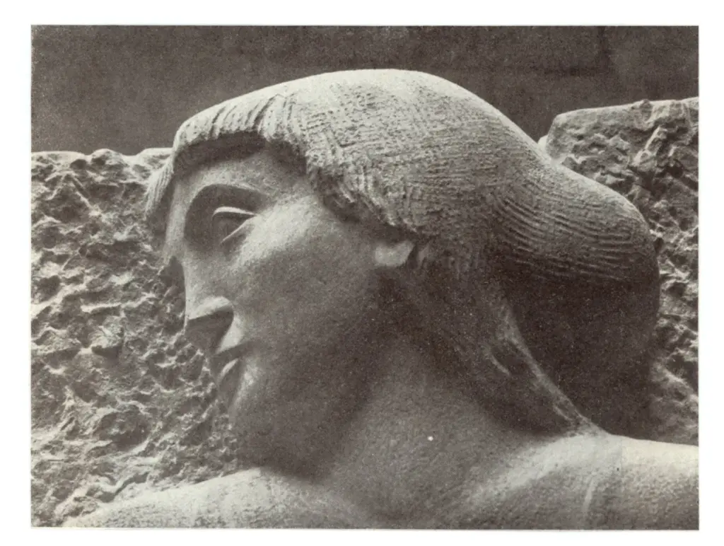 Anonimo , Gehrer, Emil , fronte