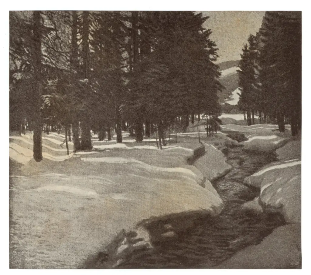 Anonimo, Anonimo , fronte