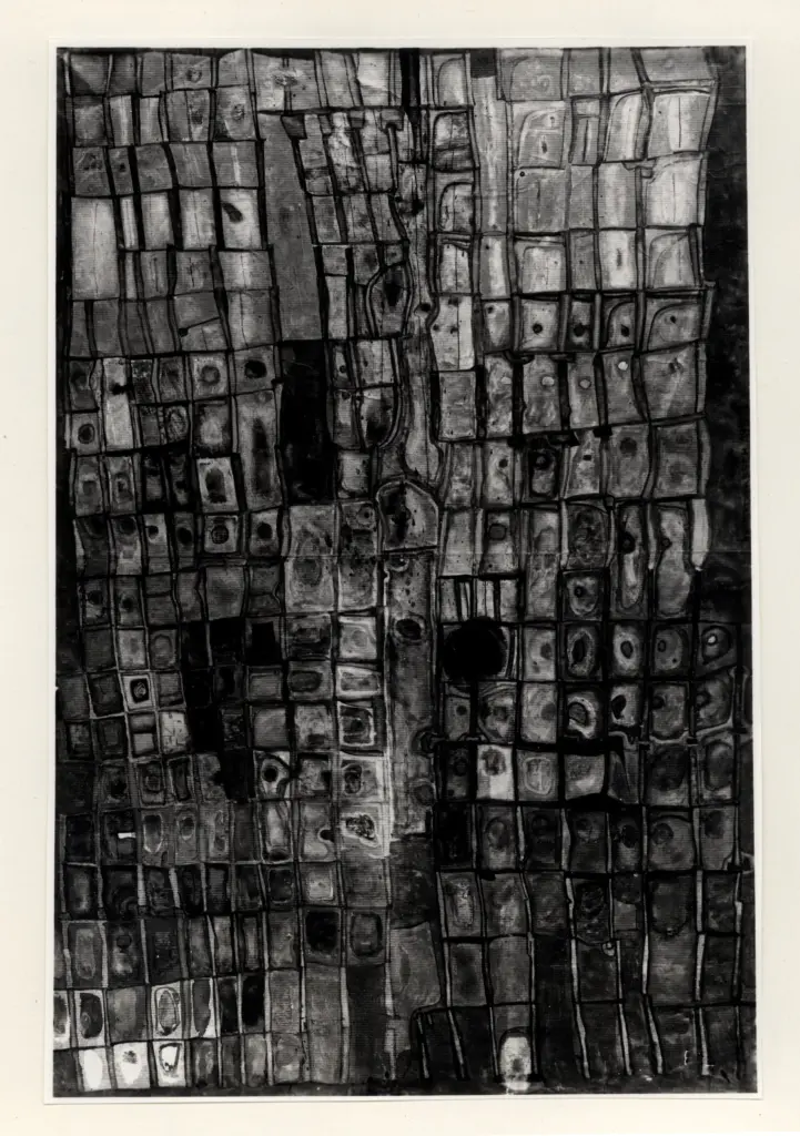 Giacomelli , Hundertwasser, Fritz - sec. XX - Architettura vegetale , fronte