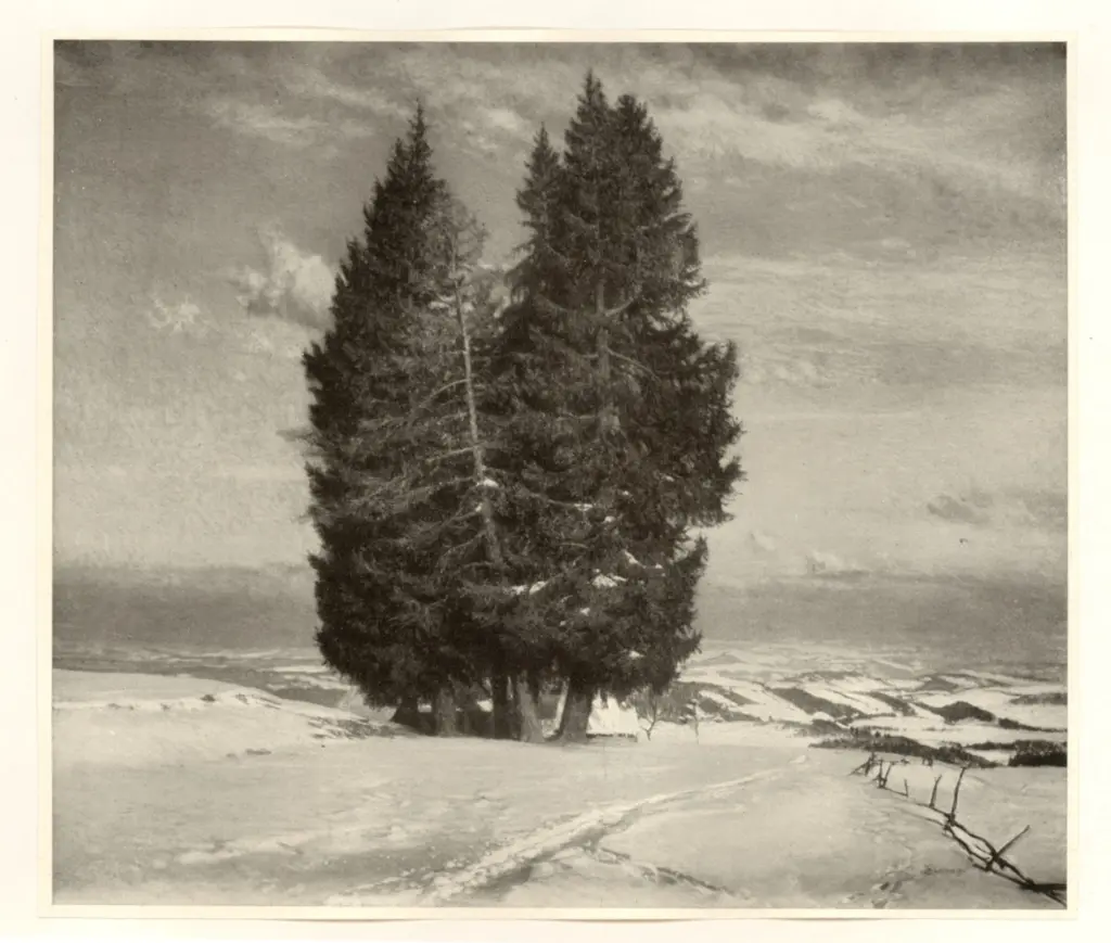 Anonimo , Leitner, Thomas - sec. XX - Wintersonne , fronte