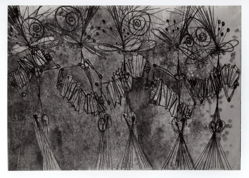 Anonimo , Swoboda, Rudolf sec. XX , fronte