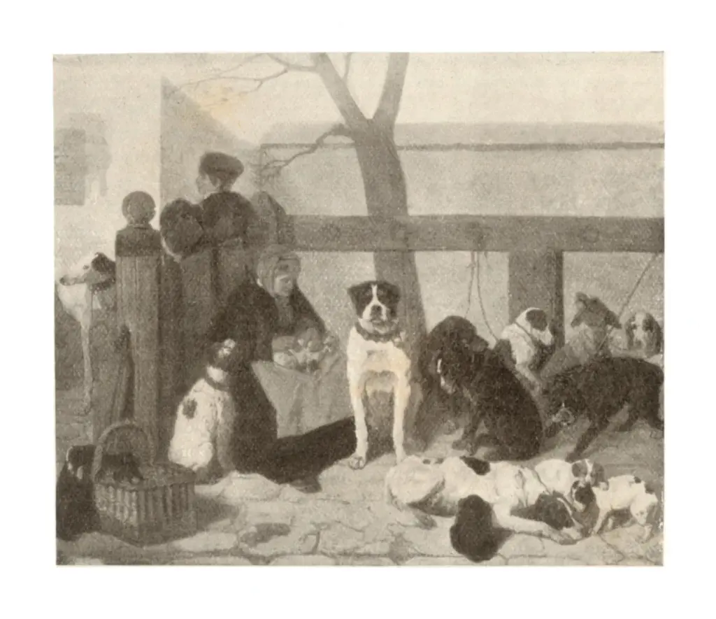 Anonimo , Stevens, Joseph - sec. XIX , fronte