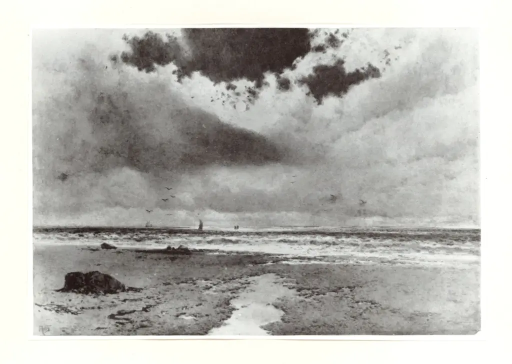 Anonimo, Anonimo , fronte