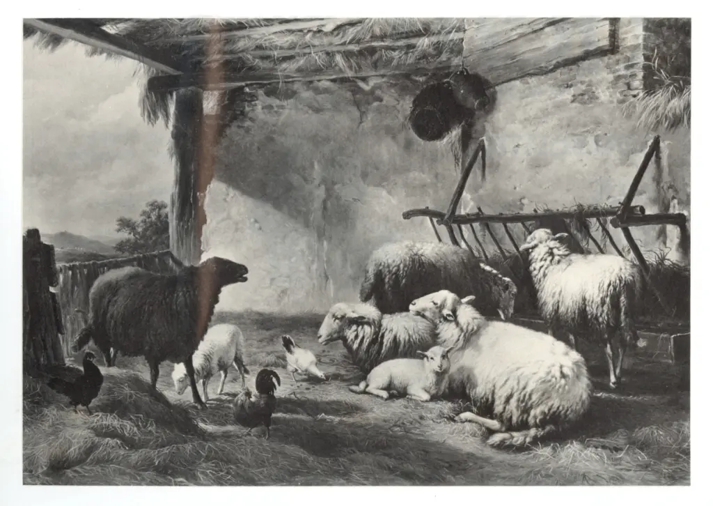 Anonimo, Anonimo , fronte