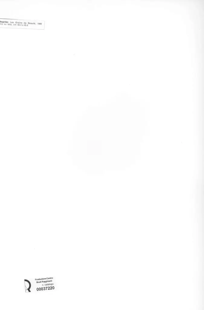 Anonimo, Anonimo , retro