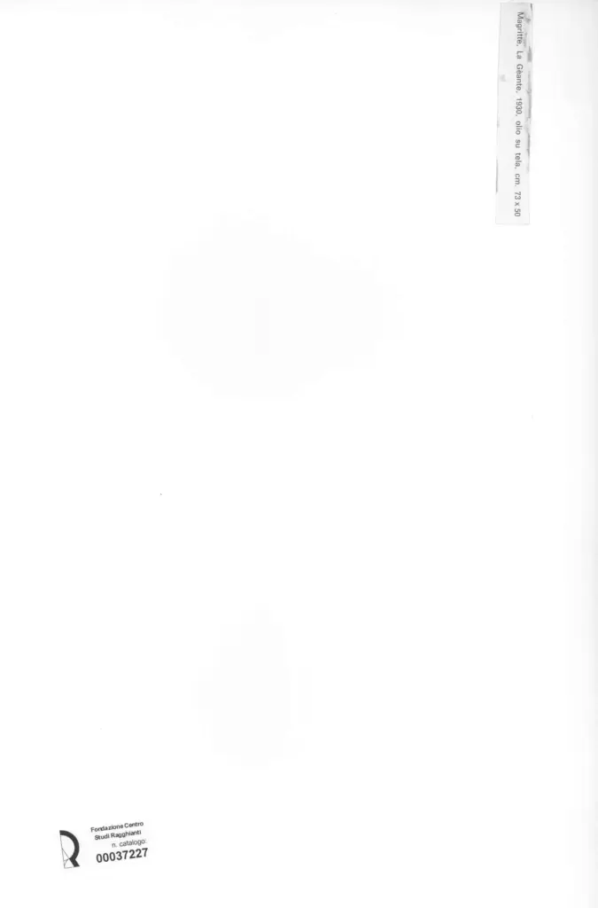 Anonimo, Anonimo , retro