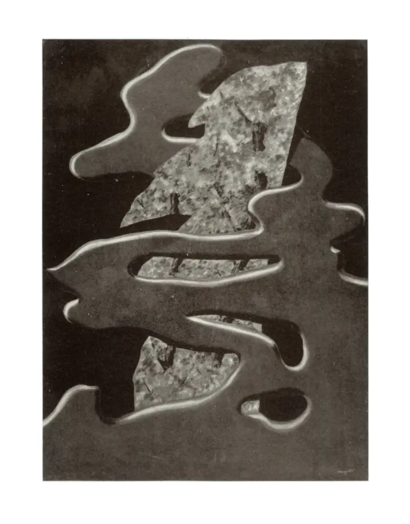 Anonimo, Anonimo , fronte