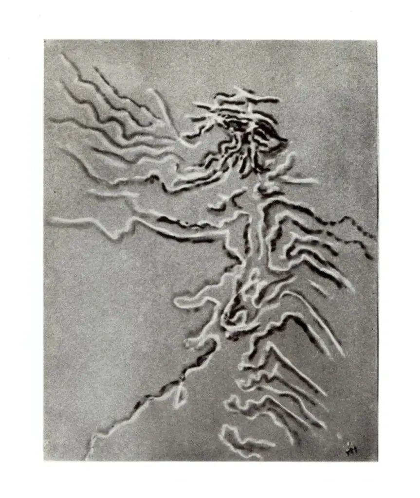 Anonimo , Michaux, Henri - sec. XX - Personnage , fronte