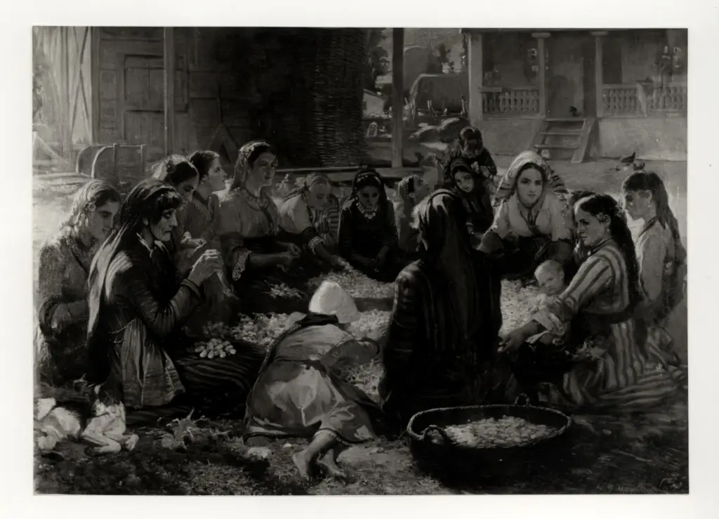 Anonimo, Anonimo , fronte