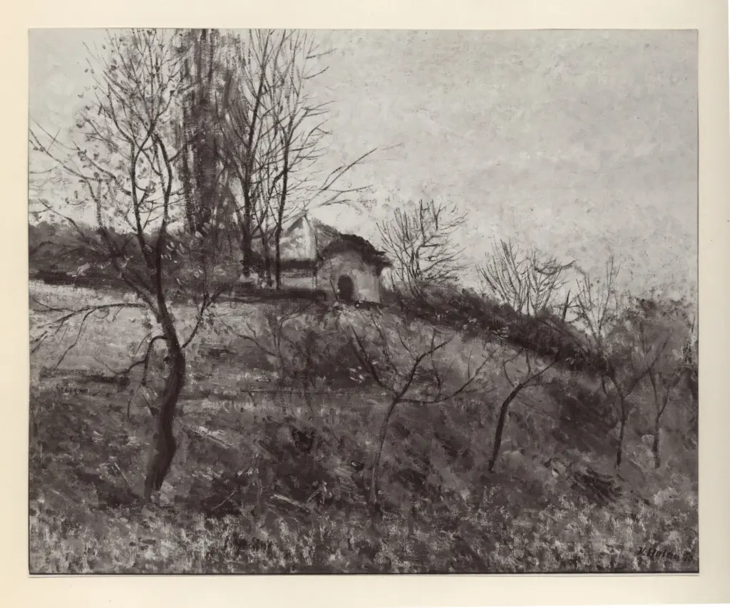 Fotografia Ferruzzi , Holan, Karel - sec. XX - Giardini del Sobborgo di Praga , fronte