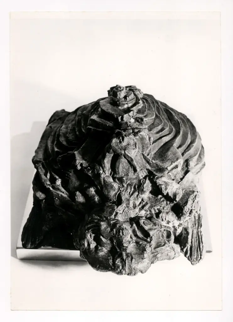 Anonimo, Anonimo , fronte