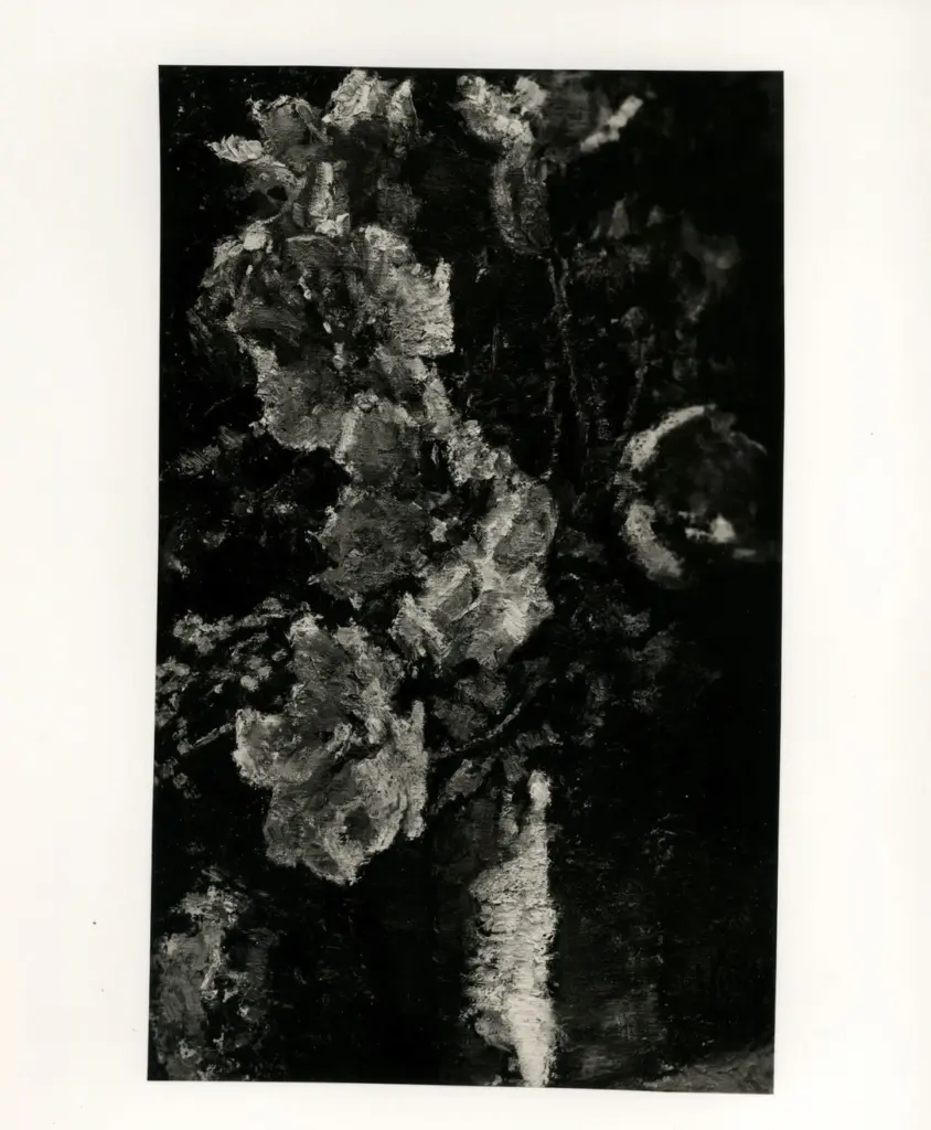 Anonimo, Anonimo , fronte