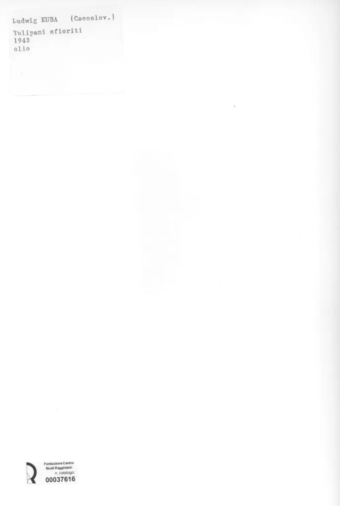 Anonimo, Anonimo , retro