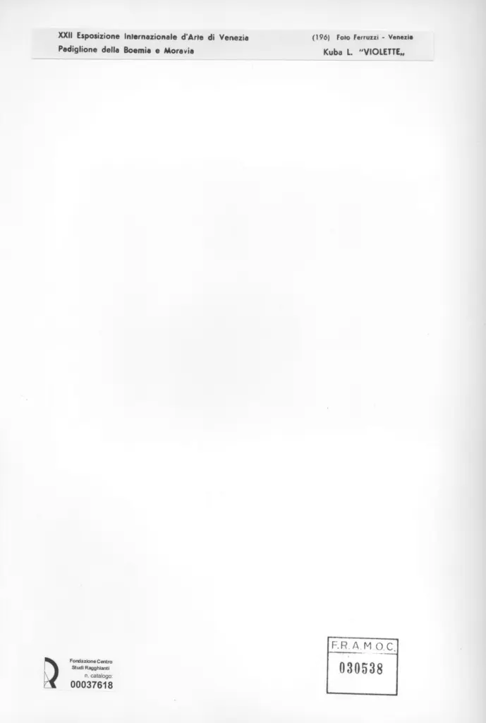 Fotografia Ferruzzi , Kuba, Ludvik - sec. XX - Violette , retro