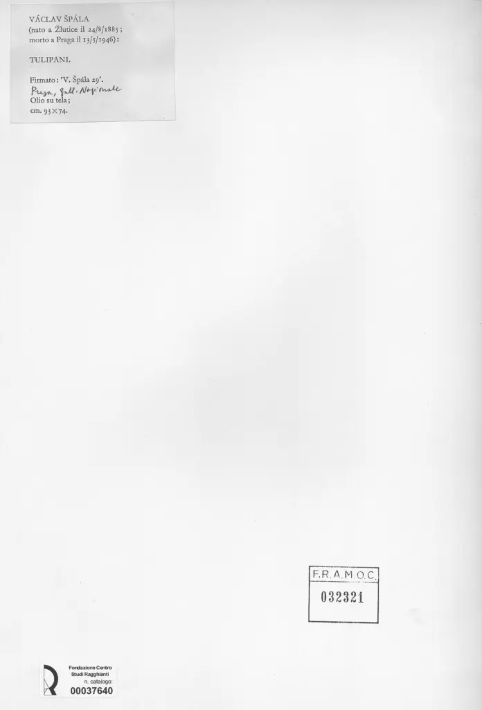 Anonimo , &Scaron;p&agrave;la, V&agrave;clav - sec. XX - Tulipani , retro