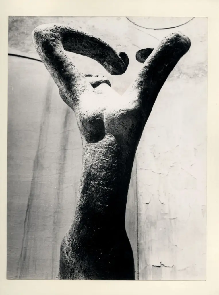 Anonimo, Anonimo , fronte