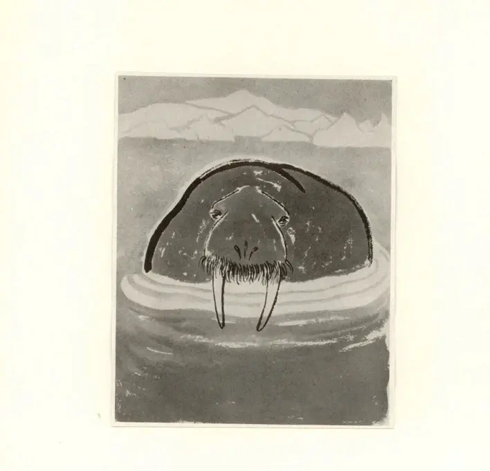 Anonimo , Gitz, Johansen - sec. XX - Illustration in his "Gaba" Gyldendal , fronte