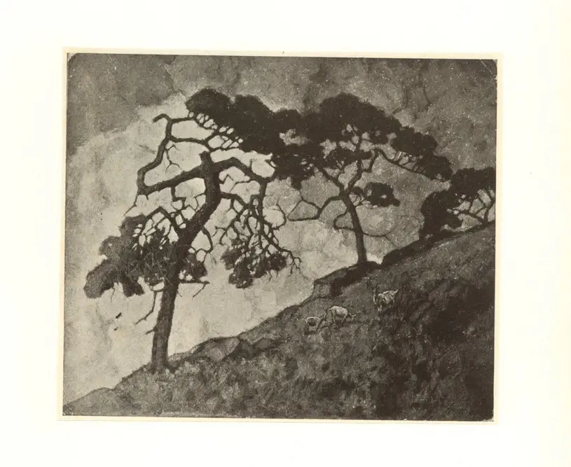 Anonimo , Grauengaard, E. - sec. XX , fronte