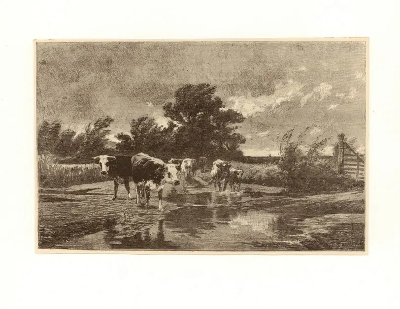 Anonimo, Anonimo , fronte