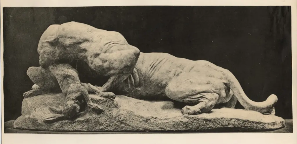 Anonimo, Anonimo , fronte