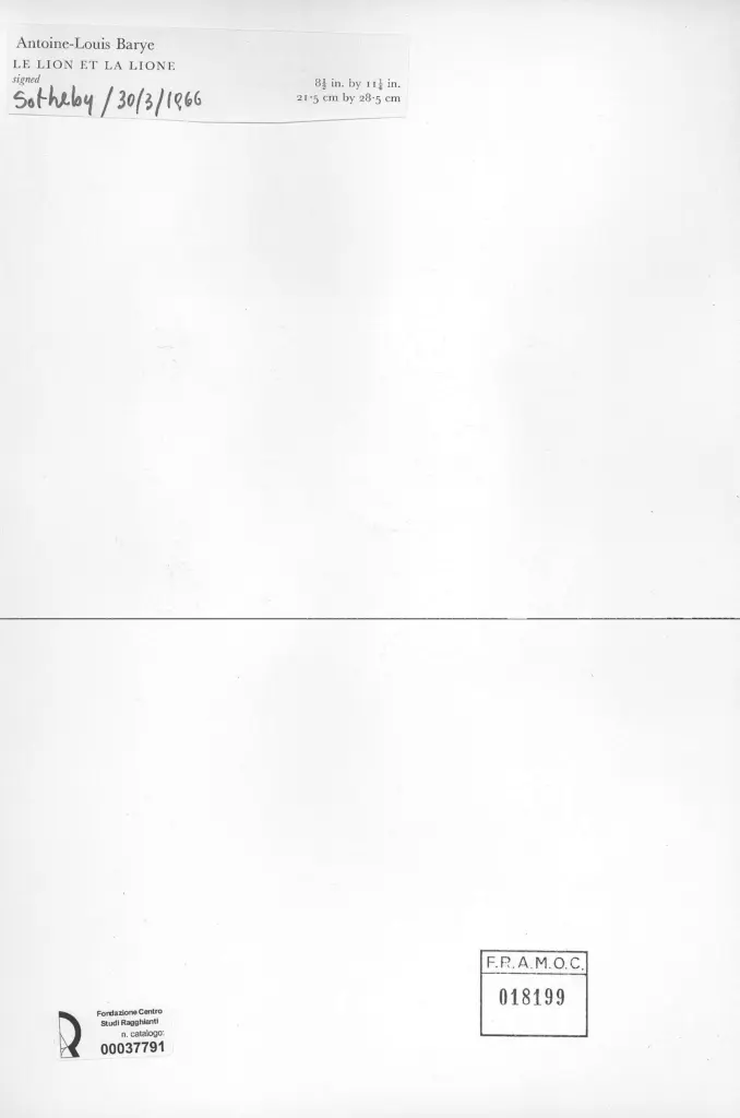 Anonimo , Barye, Antoine Louis - sec. XIX - Le lion et la lione , retro