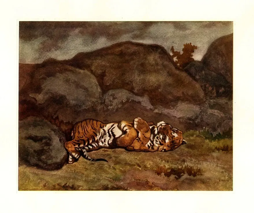 Anonimo, Anonimo , fronte