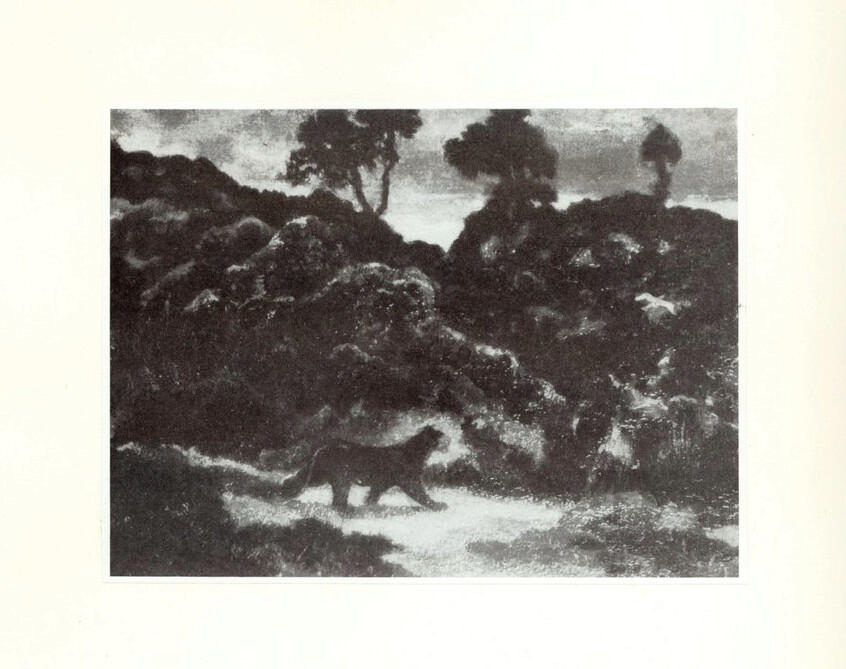 Anonimo , Barye, Antoine Louis - sec. XIX - Tigre dans un paysage , fronte