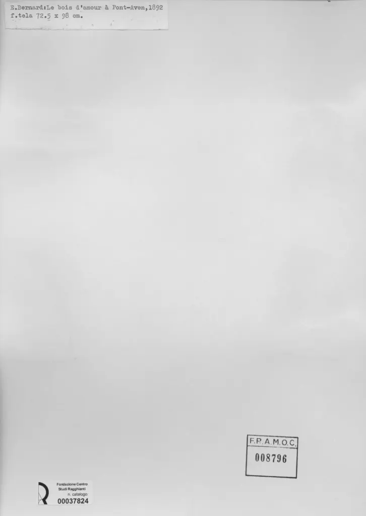 Anonimo, Anonimo , retro