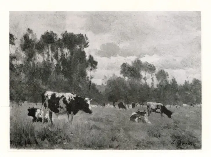 Anonimo, Anonimo , fronte