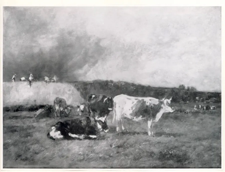 Anonimo, Anonimo , fronte