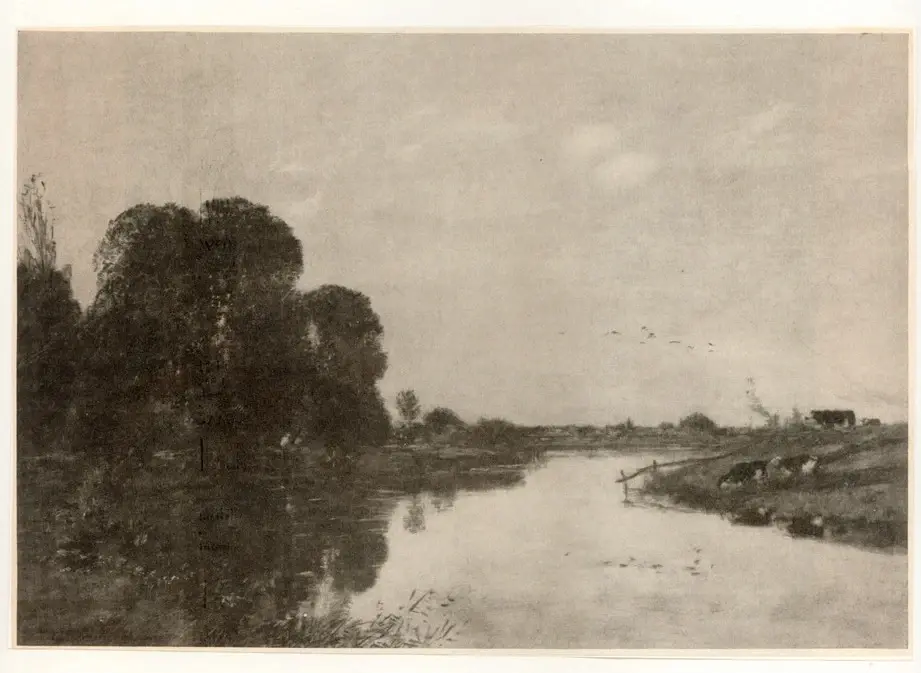 Anonimo, Anonimo , fronte