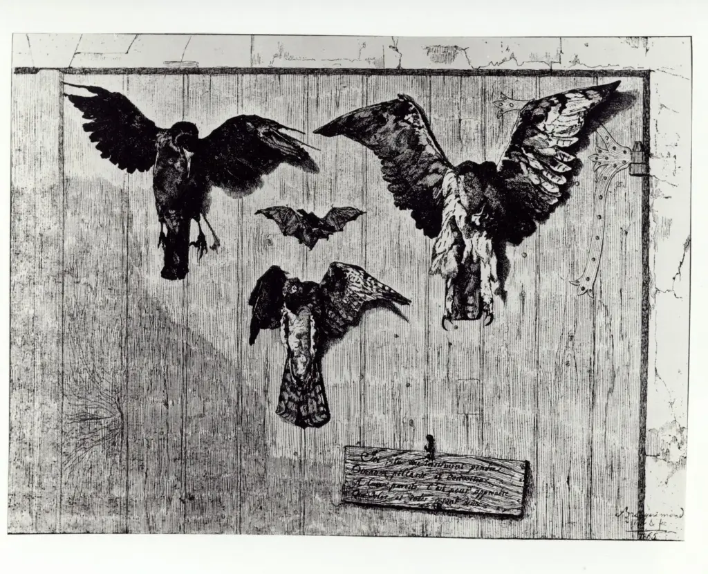 Anonimo, Anonimo , fronte