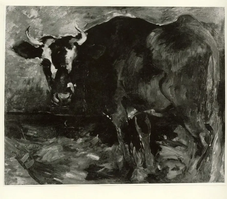 Anonimo , Cezanne, Paul , fronte