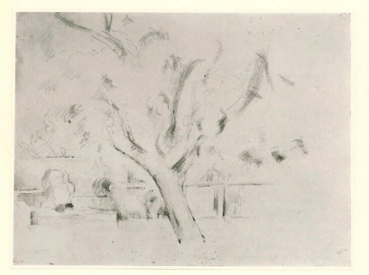 Anonimo , Cezanne, Paul - sec. XX - L'arbre du Jas de Bouffan , fronte