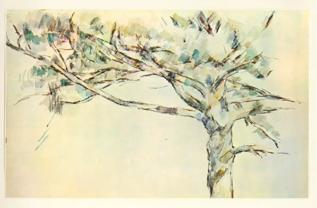 Anonimo , Cezanne, Paul , fronte