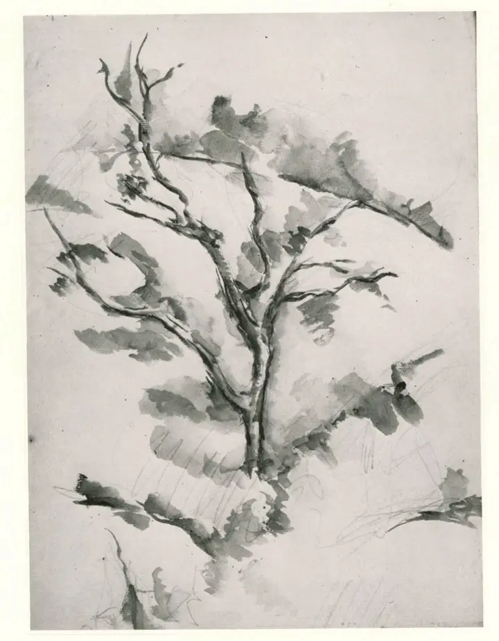 Anonimo , Cezanne, Paul - sec. XIX - La chene , fronte