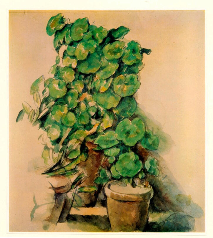 Anonimo , Cezanne, Paul - sec. XIX - Les pots de Géraniums , fronte