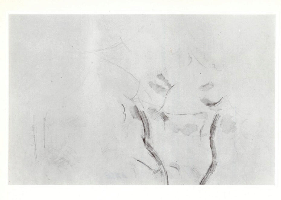 Anonimo , Cézanne, Paul - sec. XIX - Les Arbres , fronte