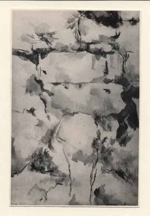 Anonimo , C&eacute;zanne, Paul - sec. XIX , fronte