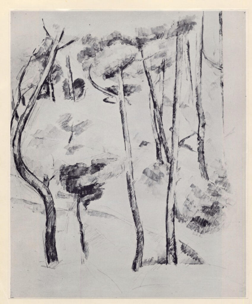 Anonimo , Cézanne, Paul , fronte