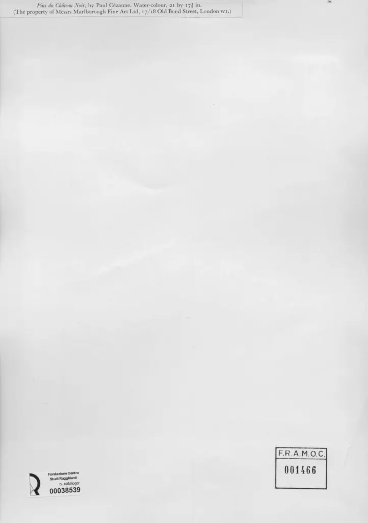 Anonimo , C&eacute;zanne, Paul , retro